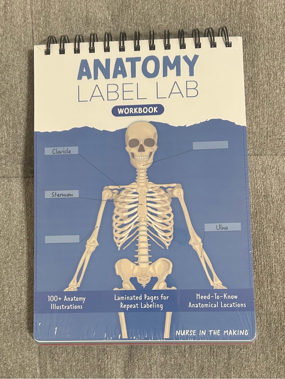 Anatomy Label Lab Spiral Workbook